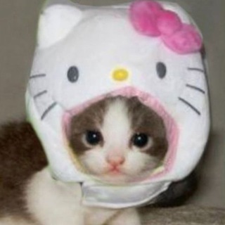 виталик пивоу