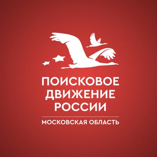 Поисковое движение России в Московской области