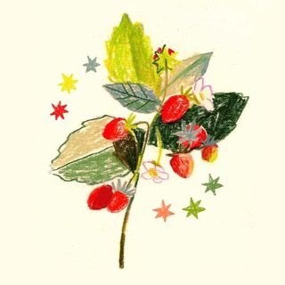 полями’с пейдж