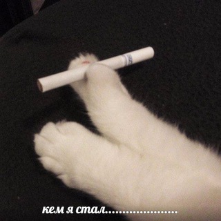 что я говорю психиатру