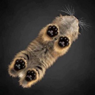 Записки дата-шрушера (Ppilif)