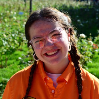 Растущий гномик 🌊