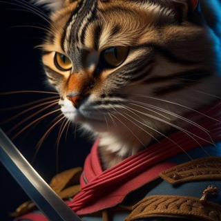 Привет, Котаны!