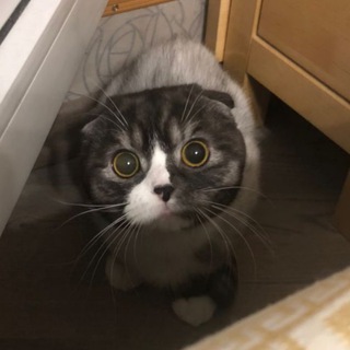 Просто Брюс