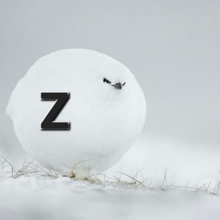 Птичка на проводе Z 🎄