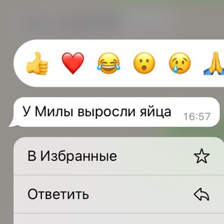 егор по ба🍸ам