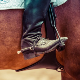 Пятку вниз! 🐎