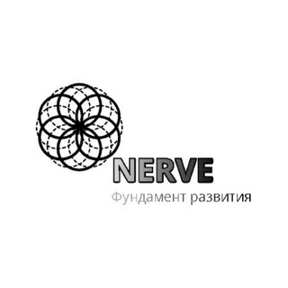 NERVE|Фундамент развития