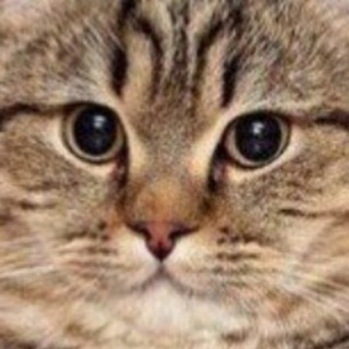 несМЕМшно...