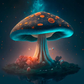 Нейромицелий