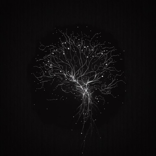 NeuroNation
