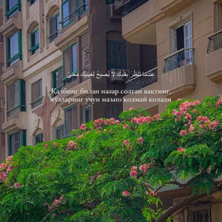 Меня не забудь