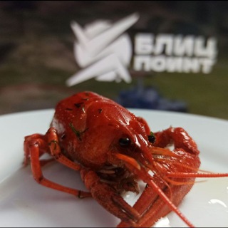 Tanks Blitz Новости 