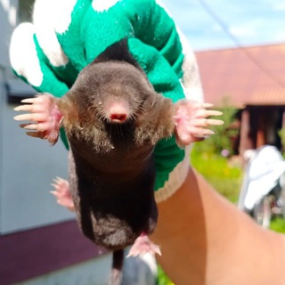 Люберецкие новости