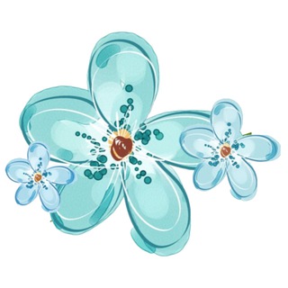 НезабудкаКотлас