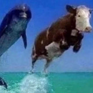 незерик ненарик