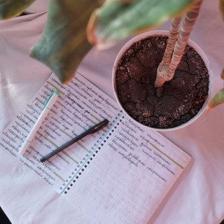 учёба с вероникой