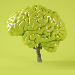 Ника Болзан