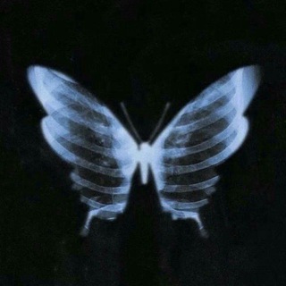 𝗻𝗶𝘃𝘄𝗮𝘅