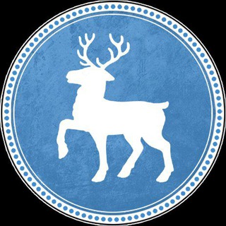 Нижний Новгород - Новости (дайджест)