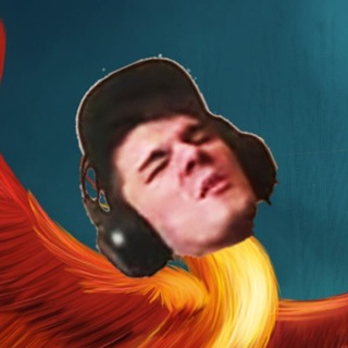 Norbis | Разработчик Багов на Блек Раша(black russia)