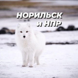 Норильск • Талнах • НПР