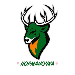 «Норманочка» (мини-футбол)