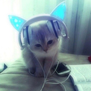 совсем не мило