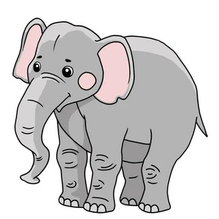 Noticias de guerra, libertad