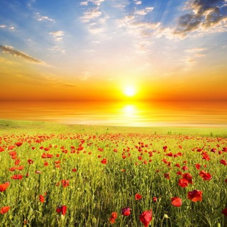 Новое Сознание