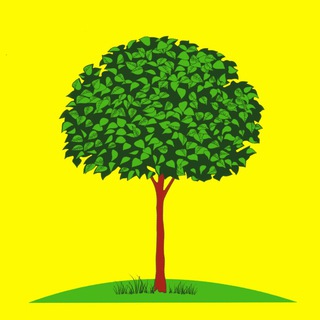 Новости Липецка