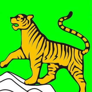 Новости Владивостока и не только