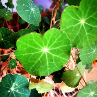 Новости дня