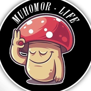 КУПИТЬ МУХОМОРЫ МИКРОДОЗИНГ