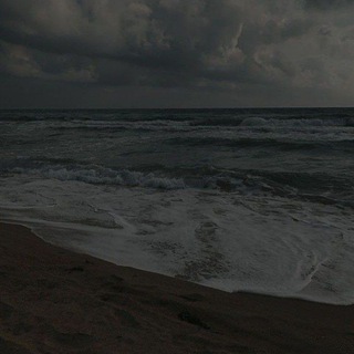 совесть покинула нас