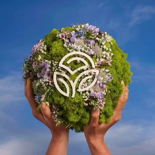 NSP.PAGE - Здоровье с НСП