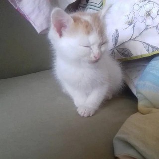 ну как всегда