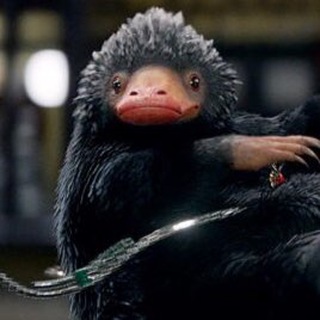 Товарищ Нюхлер