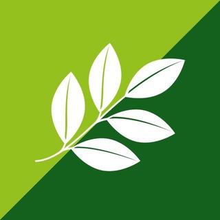 Марафон стройности Nutrilite™