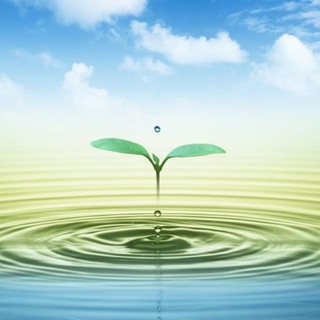 ННО для мира