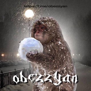 гифки пон с обезьянами🐒❤️