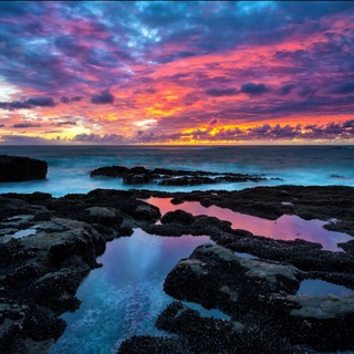 Лучшие обои