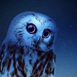 Обои на телефон📱, природа, картинки