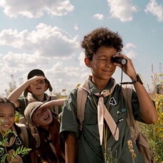 Дошкольник. Развитие и пособия