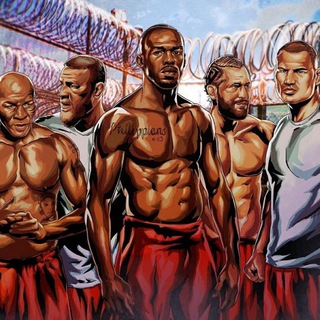 Мой обзор ММА