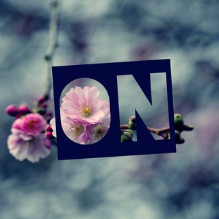 Одиннадцатое Небо