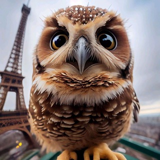 О самых самых...