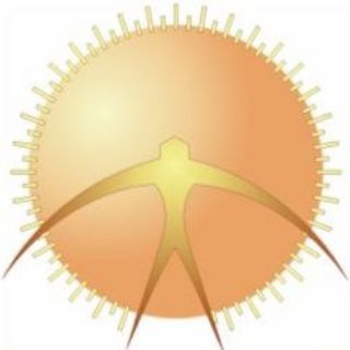 ОФ СЛА России