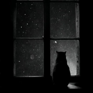 с̢̘͜п̡͉̟и̢̘̙.