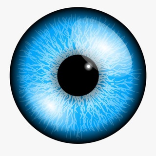 Старый Арбитражник (блог)